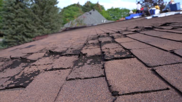 Sour Lake, TX Roofing Service Company