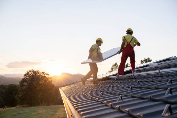 Best Asphalt Shingle Roofing  in Sour Lake, TX