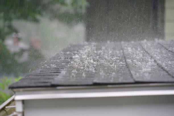 Best Roof Maintenance and Cleaning  in Sour Lake, TX