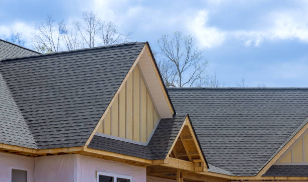Best Skylight Installation and Repair  in Sour Lake, TX